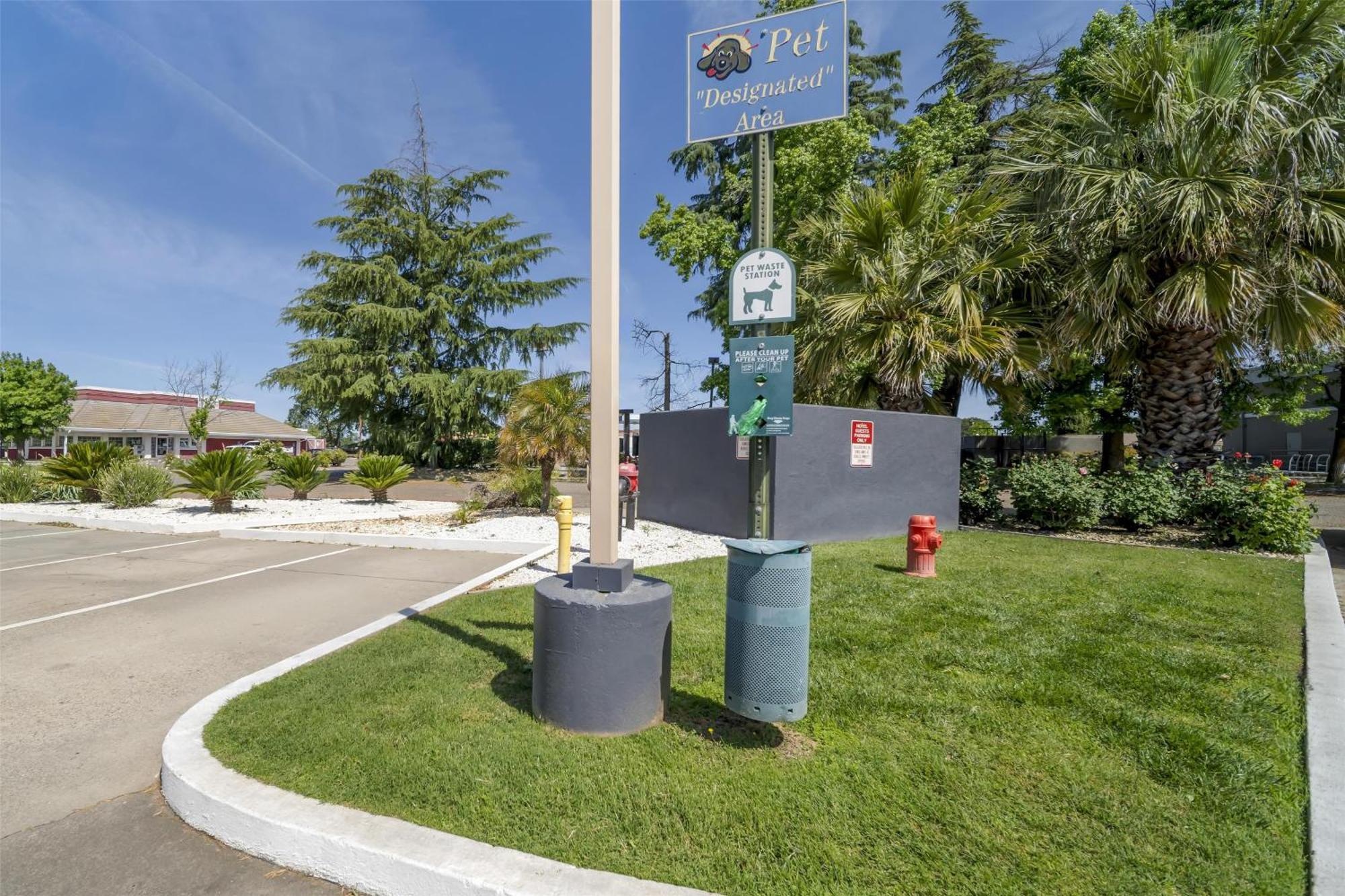 Best Western Antelope Inn&Suites Red Bluff Exterior foto